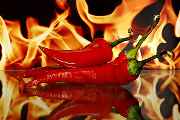piment genere du feu piments