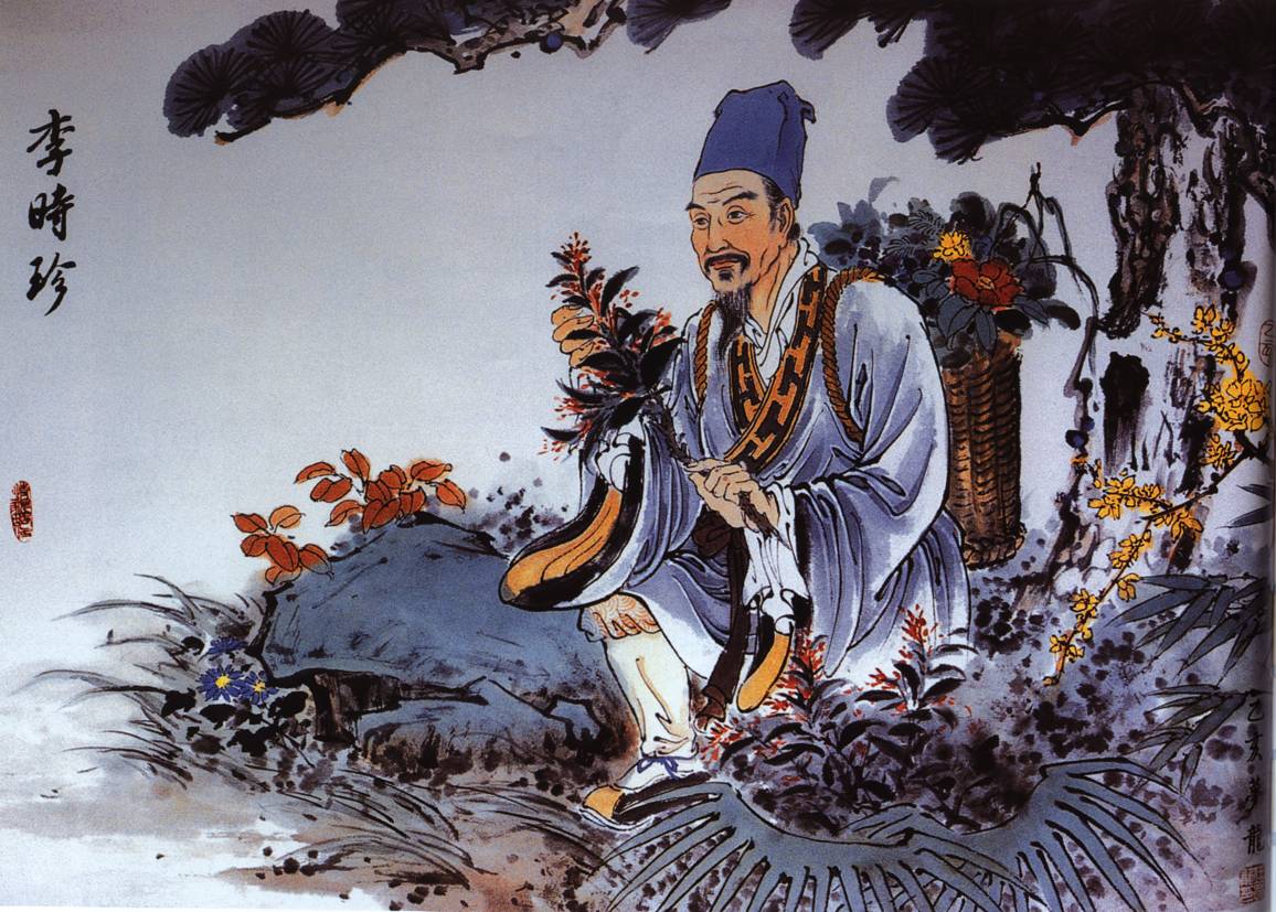 pharmacopeechinoise gravure ancienne